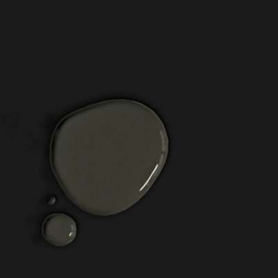 Annie Sloan Chalk Paint Athenian Black kopen