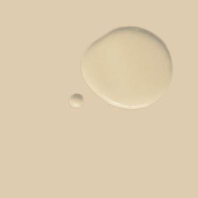 Annie Sloan Chalk Paint Old Ochre kopen