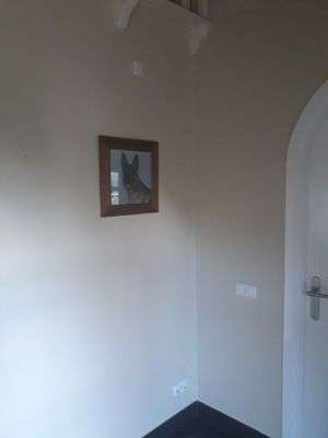 Annie Sloan Chalk Paint Old Ochre kopen