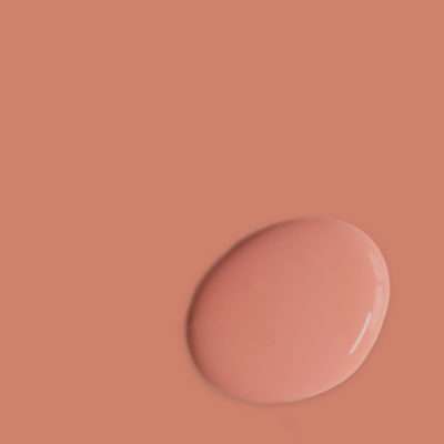 Annie Sloan Chalk Paint Scandinavian Pink kopen
