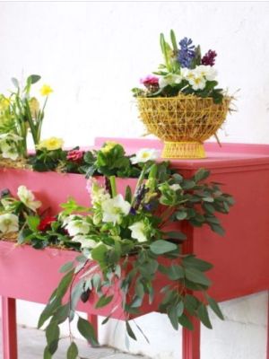 Annie Sloan Chalk Paint kleuren