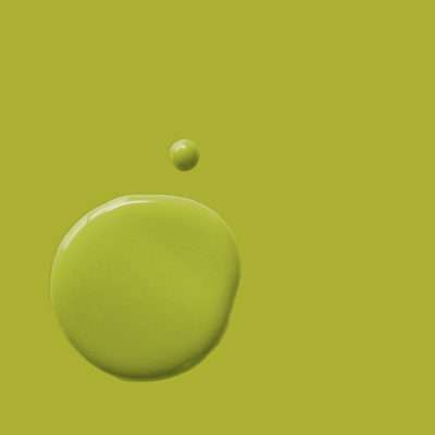 Annie Sloan Chalk Paint Antibes Green voorbeeld