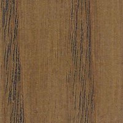 polyvine beits